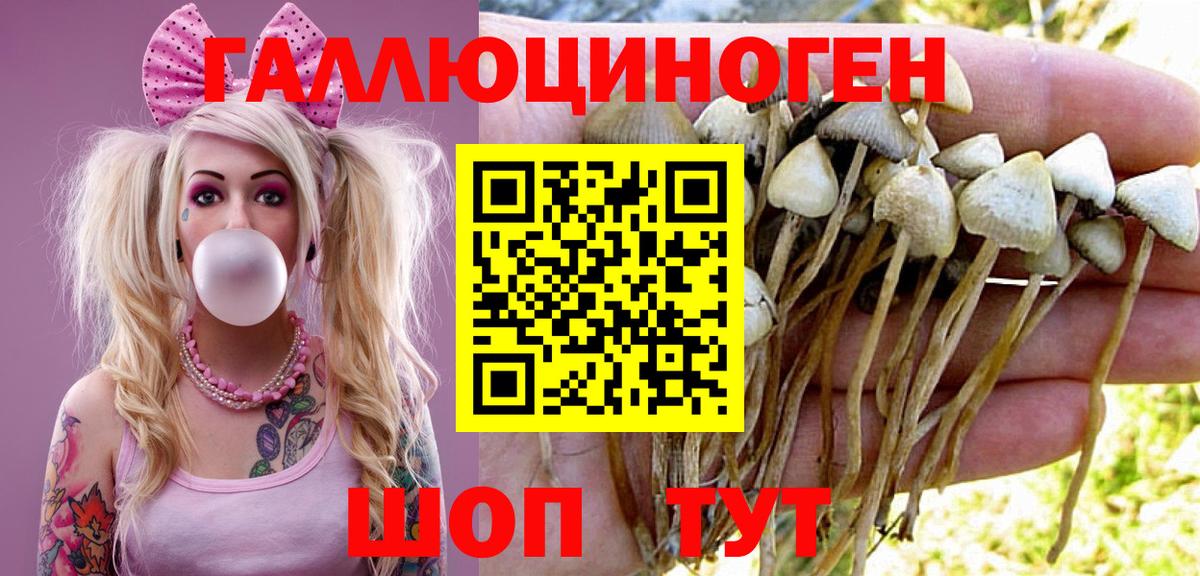 Галлюциногенные грибы Psilocybine cubensis  Вход с VPN  где купить   Сертолово 