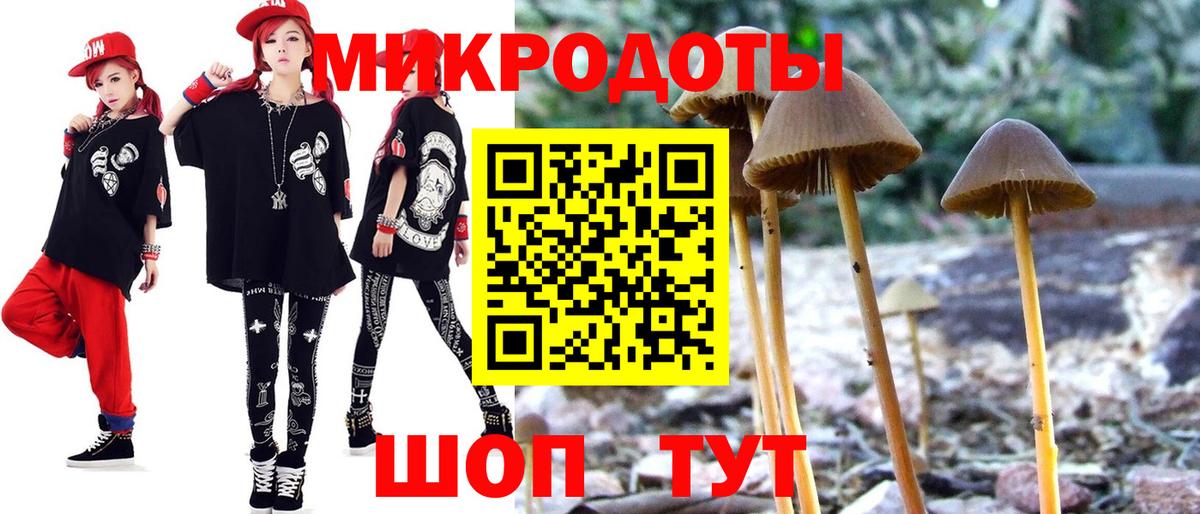 Галлюциногенные грибы Psilocybine cubensis Сертолово